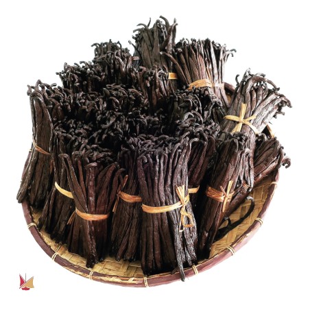 Bunch of LAVANY Bourbon Vanilla Pods from Madagascar
