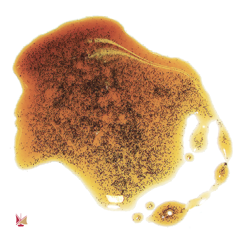 Extrahieren Sie 200 g LAVANY Bourbon Vanille aus Madagaskar mit Getreide aus konventionellem Anbau