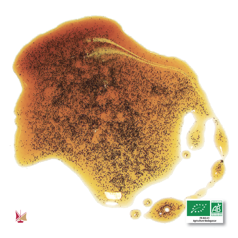 Extrakt 200 g LAVANY Bourbon Vanille aus Madagaskar mit Körnern aus biologischem Anbau