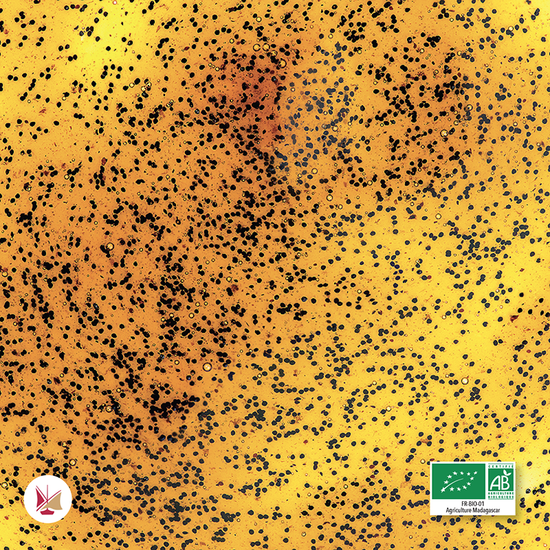 Estratto 400 di Vaniglia Bourbon LAVANY dal Madagascar con grani da Agricoltura Biologica