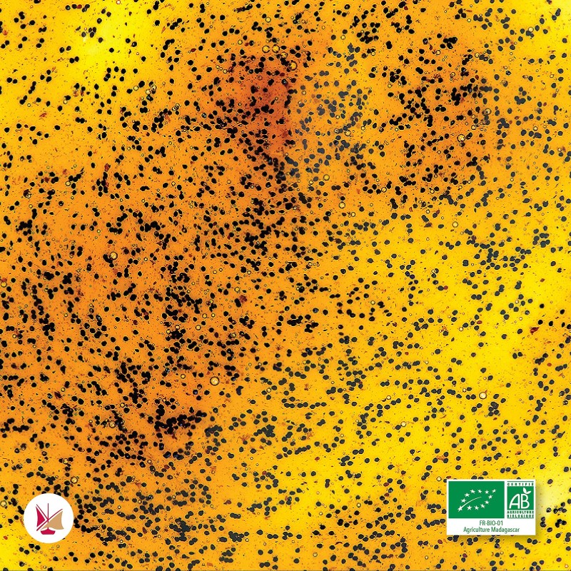 Estratto liquido di Vaniglia Bourbon Biologica LAVANY del Madagascar