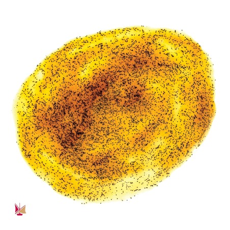 Pâte de Vanille avec les grains de Vanille