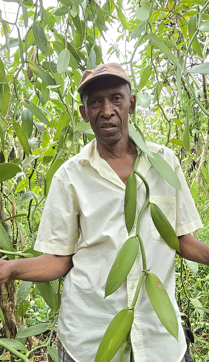 Anicet JERA le responsable des plantations de Vanille LAVANY Bourbon de Madagascar au village de brousse de Betavilona