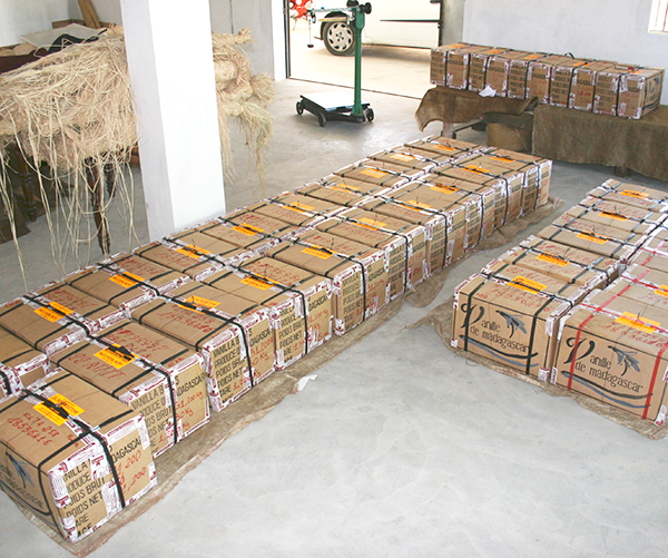 Caisses carton de 25 kg de Vanilles affinées prêtes à être exportées