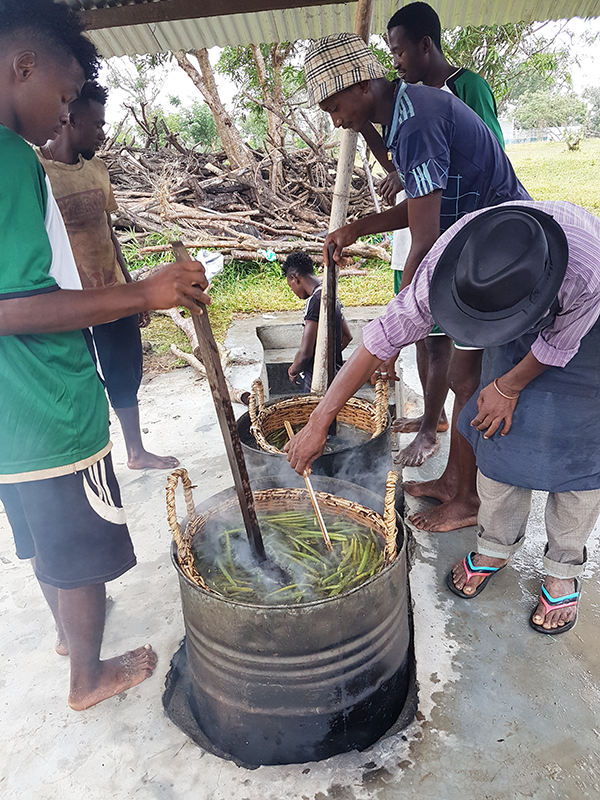 Echaudage des gousses vertes de Vanille LAVANY Bourbon de Madagascar