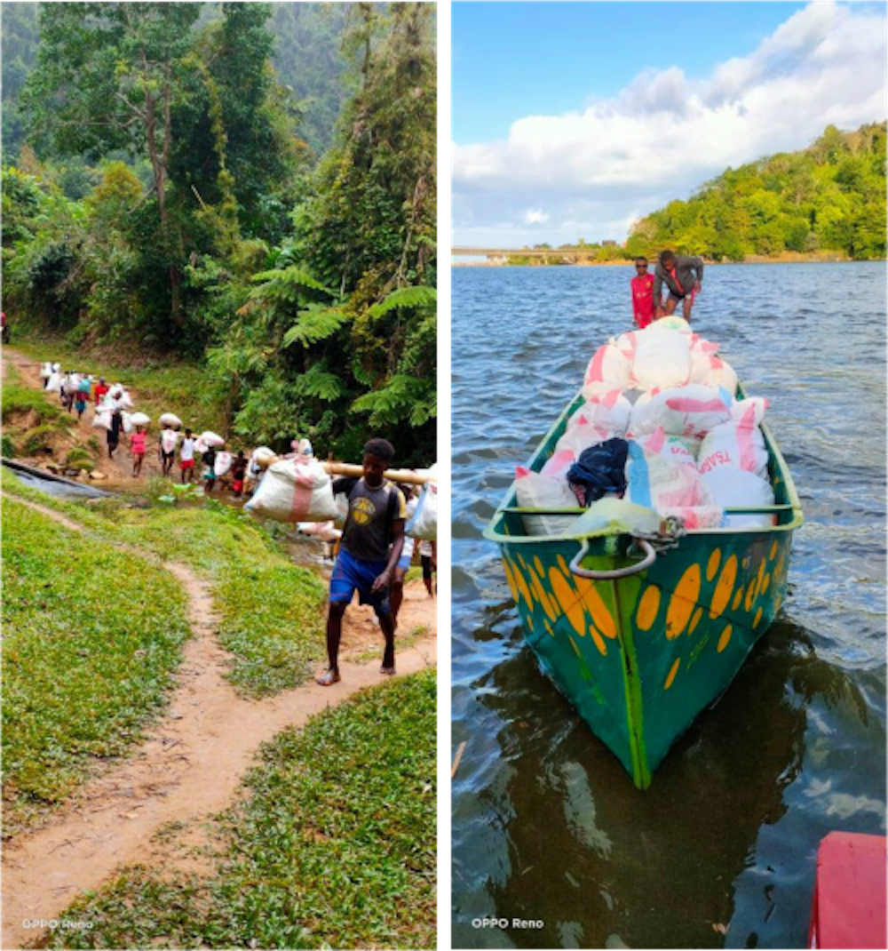 Transport terrestre et en pirogue des gousses vertes de Vanille LAVANY Bourbon de Madagascar de la brousse à Betavilona à notre station d'affinnage à Manambato à Antalaha