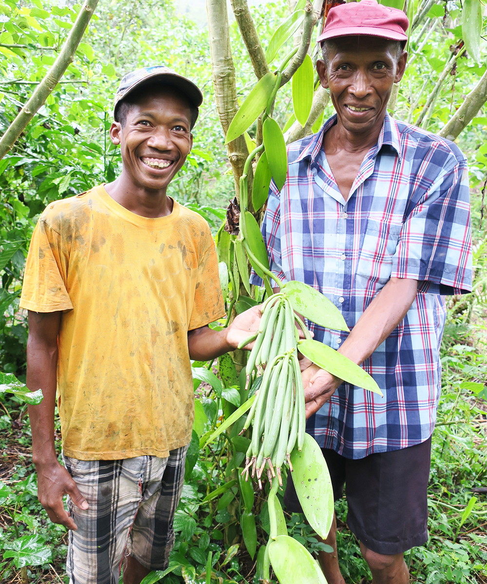 Fidgé et Anicet JERA, les Responsables des cultures en brousse de Vanille LAVANY Bourbon de Madagascar